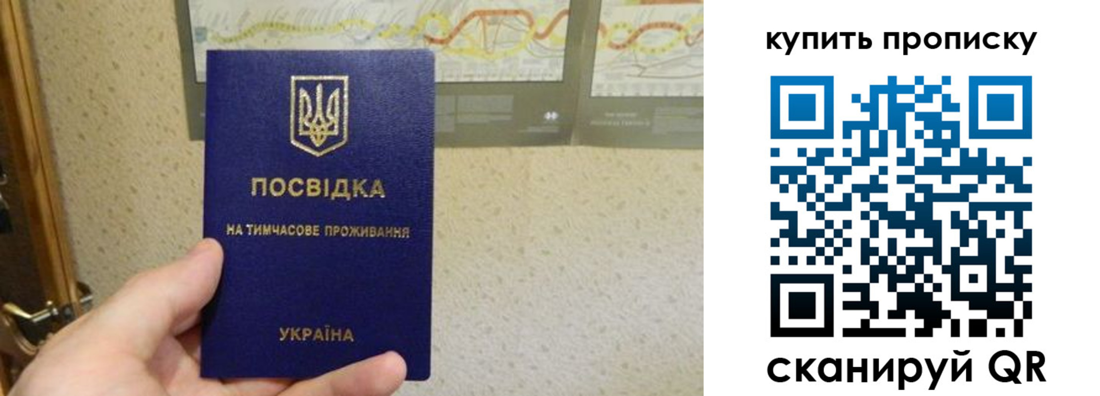 временная регистрация поиск в Марий Эл